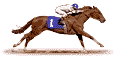 Race Horse Animated Gif